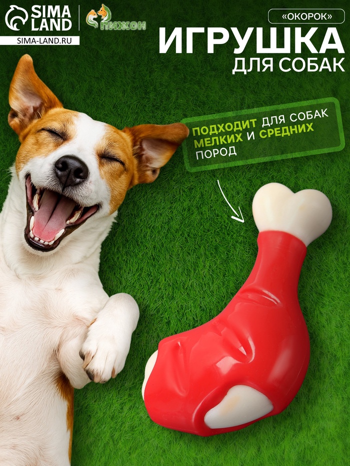 Игрушка для собак «Окорок» Пижон Premium, 11.5 см, TPR+нейлон, микс цветов