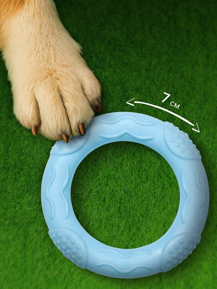 Игрушка жевательная «Волна», TPR, 7×1 см, голубая