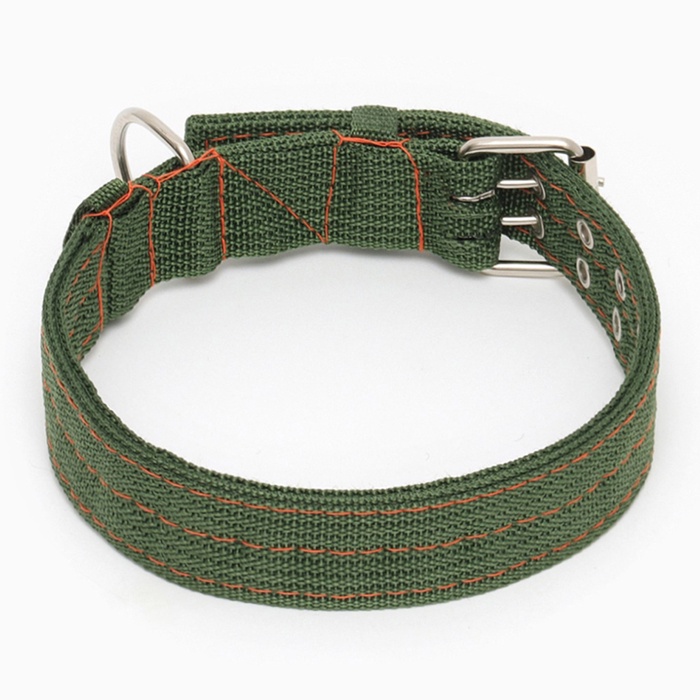 Ошейник четырехслойный, 64×4 см, ОШ 50-58 см, полиэстер, зелёный