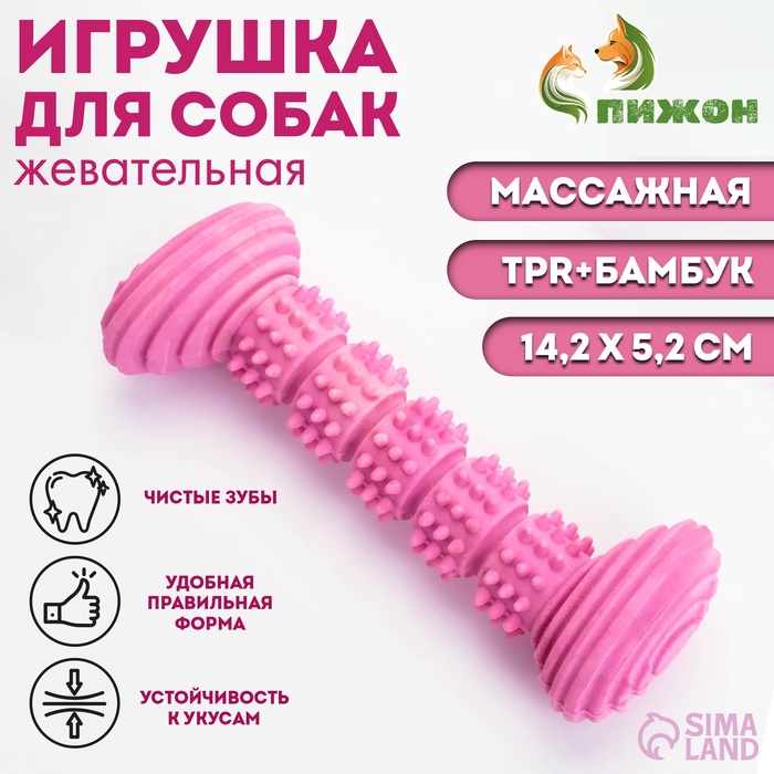 Жевательная игрушка для собак ПИЖОН