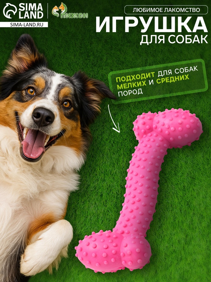 Игрушка жевательная «Любимое лакомство», TPR, 11×4 см, розовая