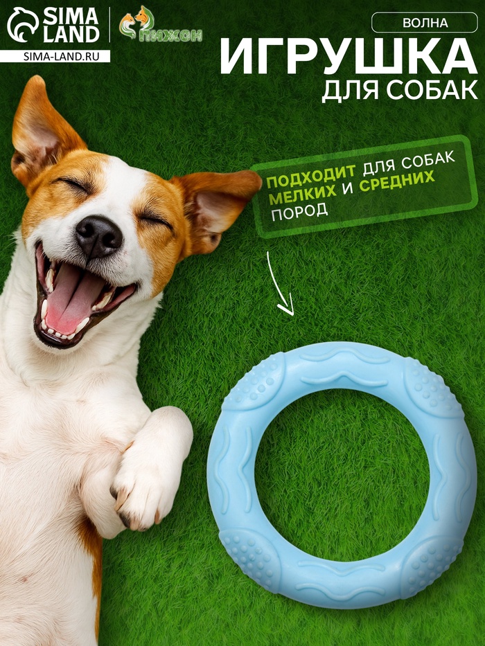 Игрушка жевательная «Волна», TPR, 7×1 см, голубая