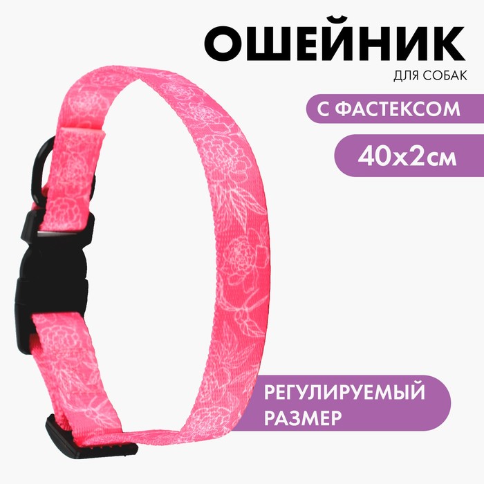 Ошейник My littlle princess, застёжка - фастекс, 2 см 25-40 см