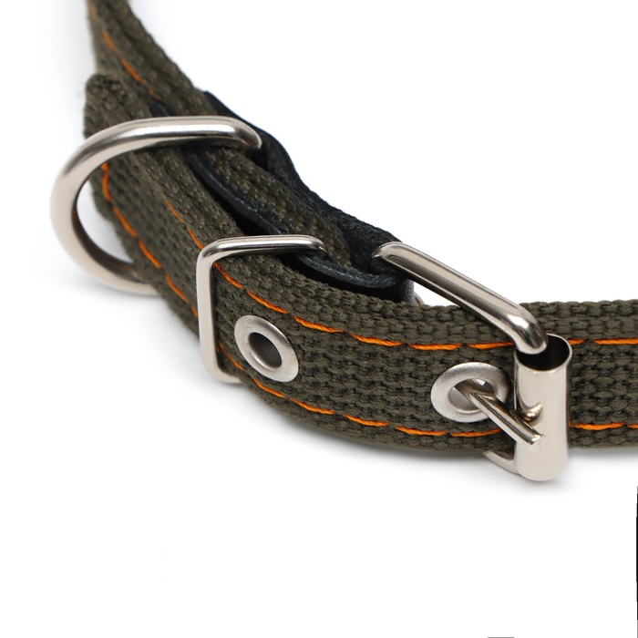 Ошейник брезентовый безразмерный двухслойный, 50×2 см, ОШ 22-45 см