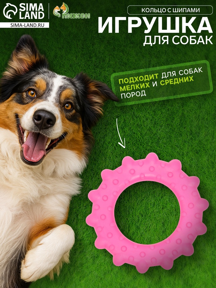 Игрушка жевательная «Кольцо с шипами», TPR, 8.5 см, розовая