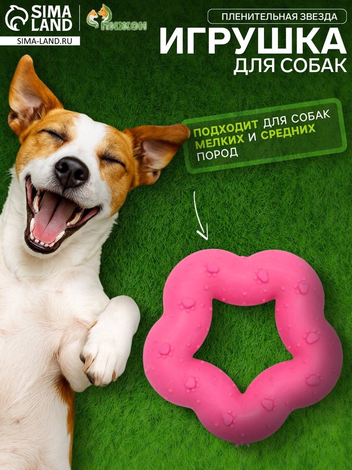 Игрушка жевательная «Пленительная звезда», TPR, 7 см, розовая