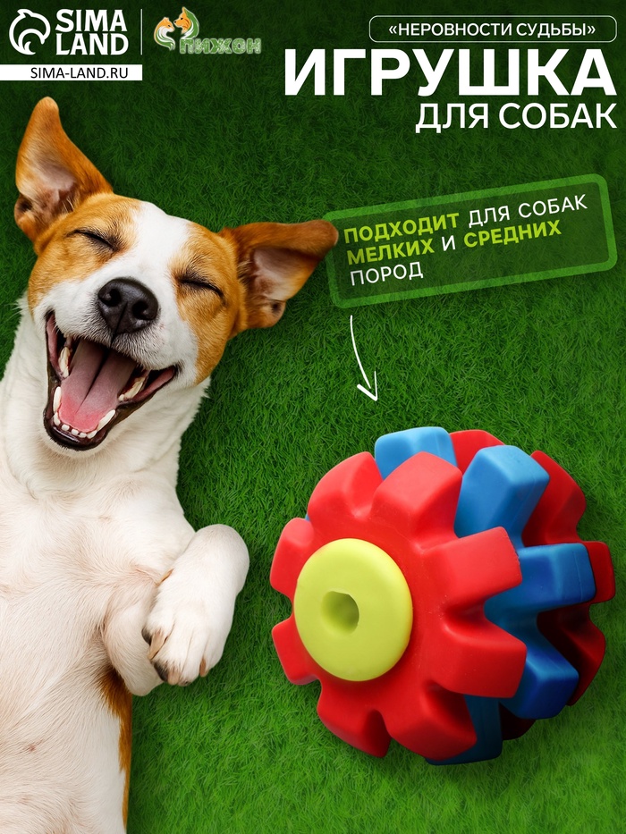 Игрушка жевательная «Неровности судьбы», TPR, 7 см, жёлтая/красная/голубая