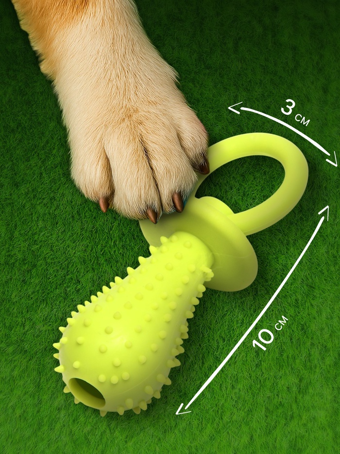 Игрушка жевательная «Соска», TPR, 10×3 см, салатовая