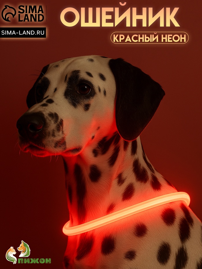 Ошейник - кольцо с подсветкой, зарядка от USB, до 70 см, 3 режима свечения, красный