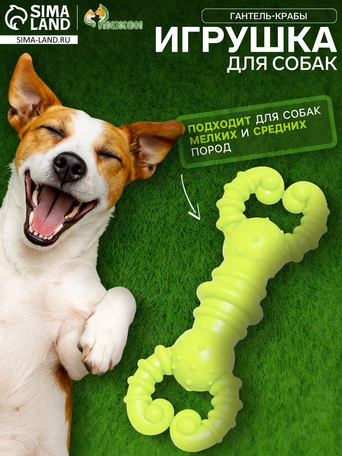 Игрушка для собак резиновая