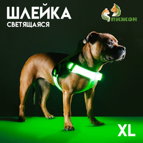 Шлейка светящаяся размер XL, стропа 2,5 см, ОГ 60-70 см, 3 режима свечения зелёная