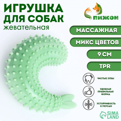 Игрушка массажная для собак 