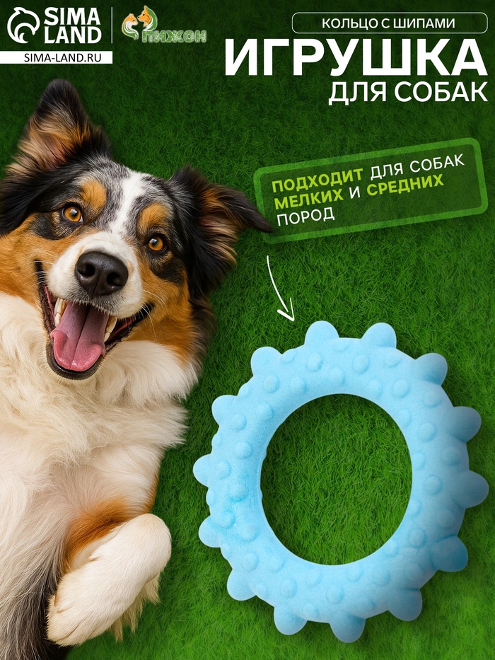 Игрушка плавающая для собак «Кольцо с шипами» Пижон Premium, вспененный TPR, 8 см, голубая