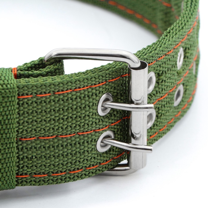 Ошейник четырехслойный с вертлюгом, 80×4.9 см, ОШ 64-74 см, полиэстер, зелёный