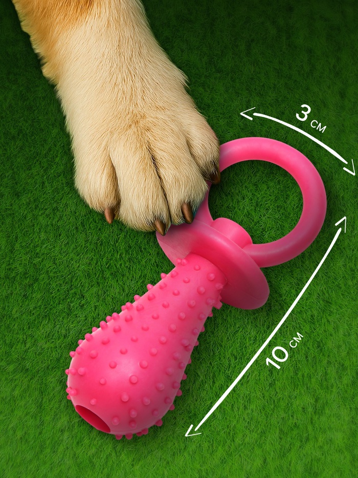 Игрушка жевательная «Соска», TPR, 10×3 см, розовая