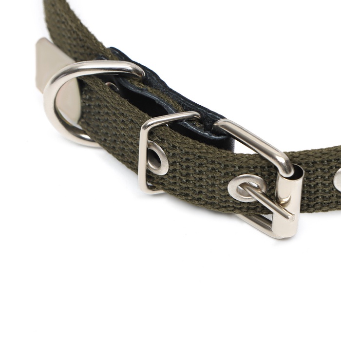 Ошейник брезентовый однослойный, 50×2 см, ОШ 25-35 см, хаки