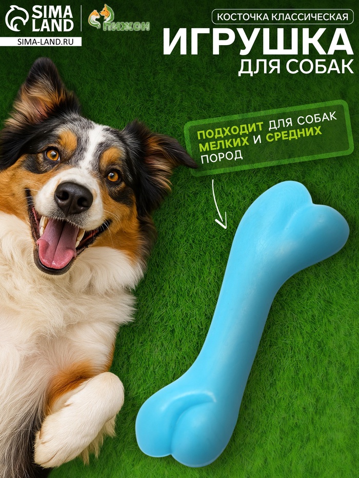 Игрушка жевательная «Косточка классическая», TPR, 12.3 см, голубая
