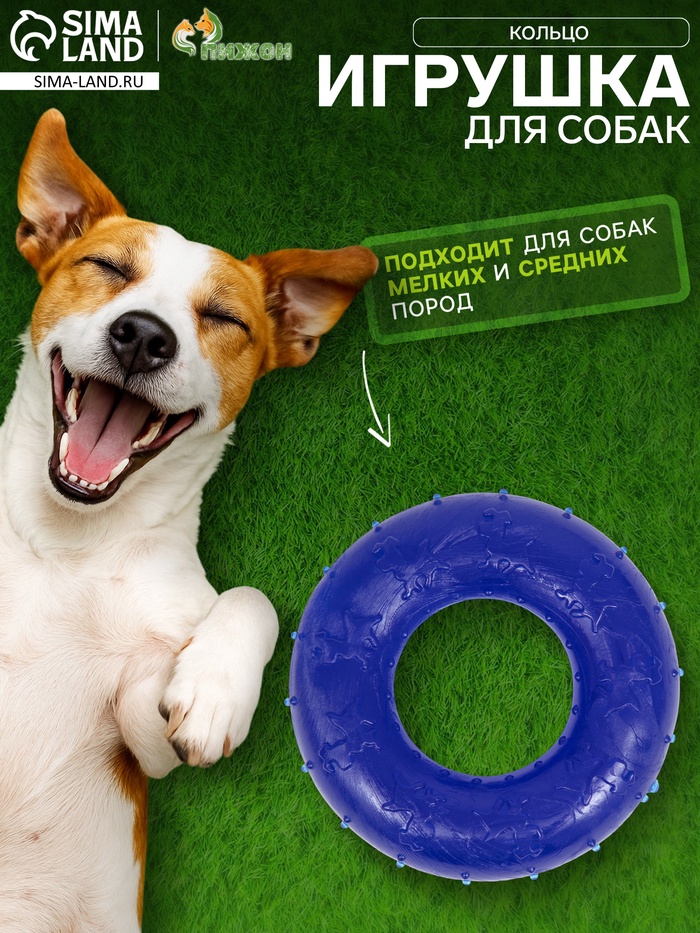 Жевательная игрушка для собак «Кольцо», 6.7×2 см, прозрачная, PP, синяя