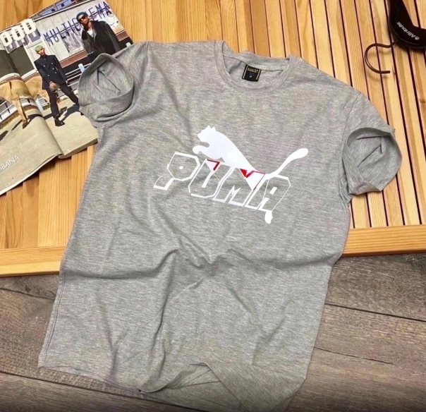 Футболка мужская 45590