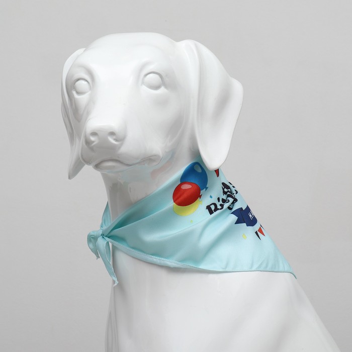 Платок для животных «С днём рождения», 15×12×1 см, голубой