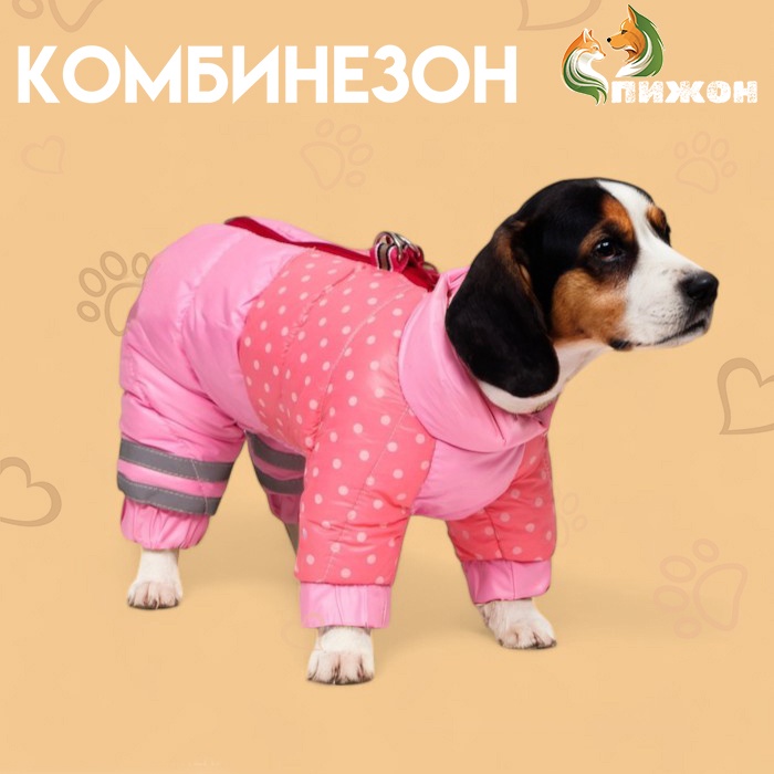 Комбинезон для собак