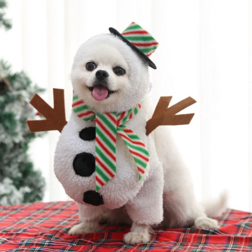 Костюм для животных 