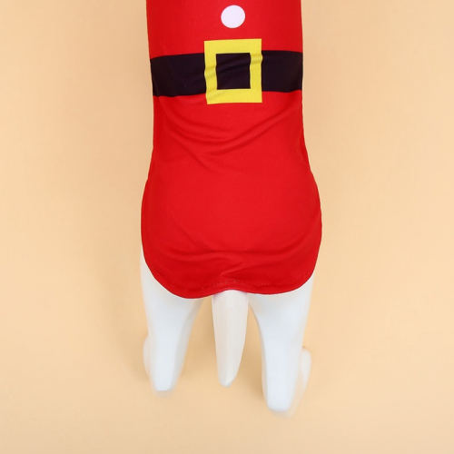 Толстовка для собак с колпаком Santa, S (ДС 25, ОГ 35 см)
