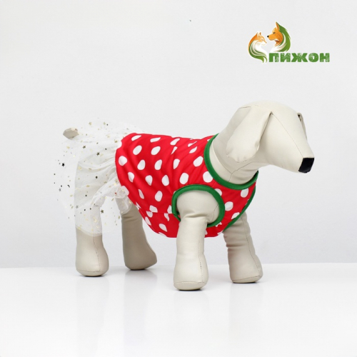 Костюм для животных 