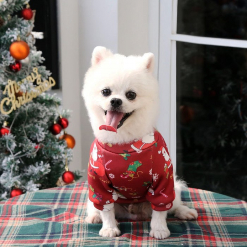 Кофта новогодняя для животных 