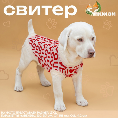Свитер 