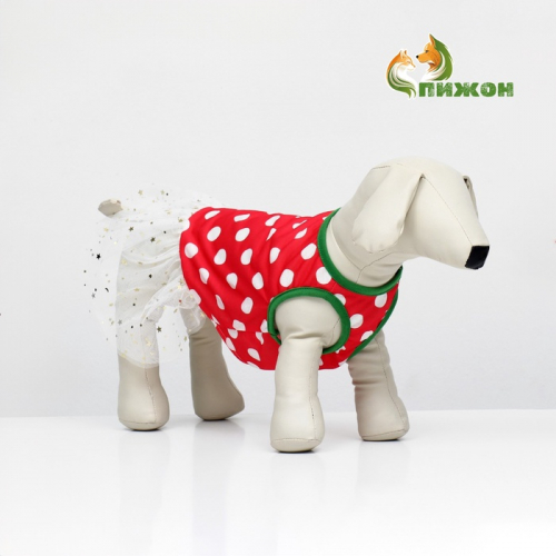 Костюм для животных 
