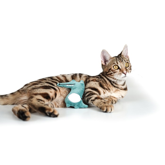 Игрушка для кошек с кошачьей мятой
