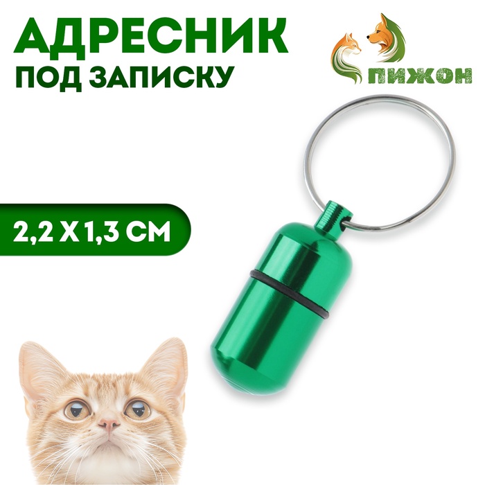 Адресник - капсула под записку, 2,2 х 1,3 см, зелёный