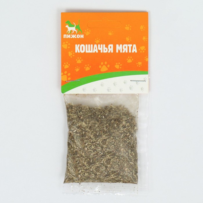 Кошачья мята