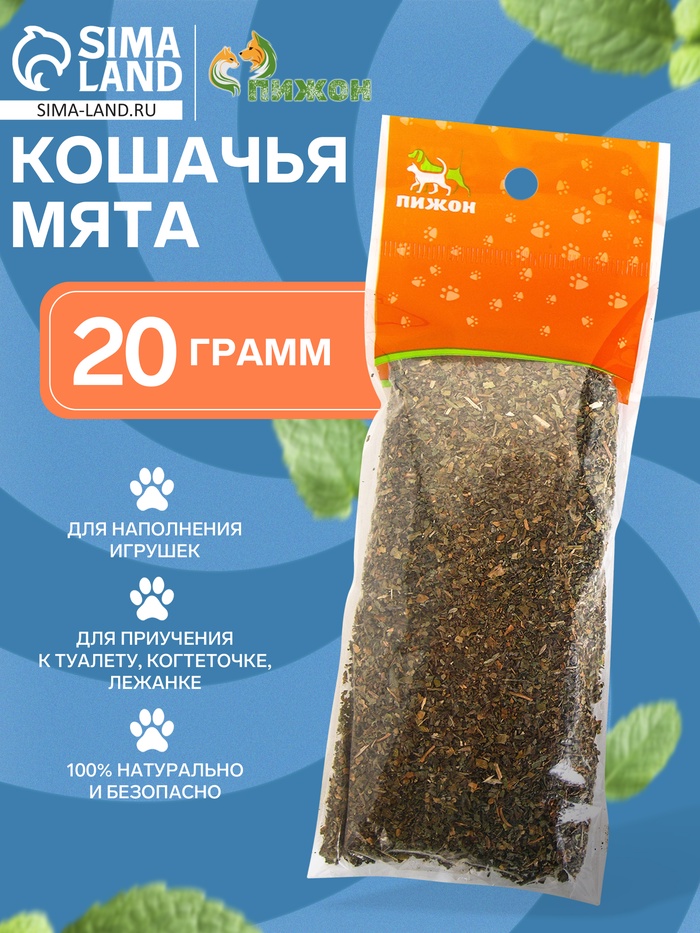 Кошачья мята