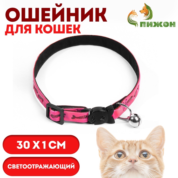 Ошейник кошачий со светоотражающим покрытием