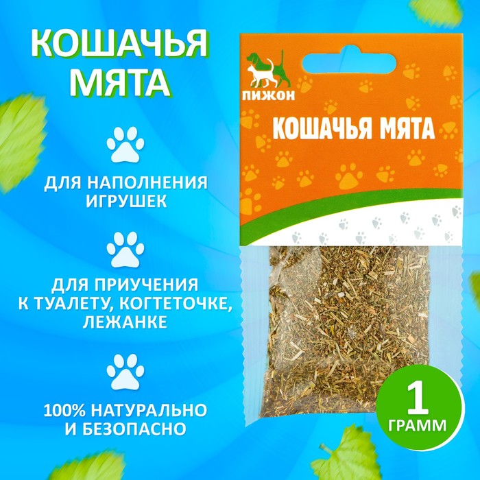 Кошачья мята