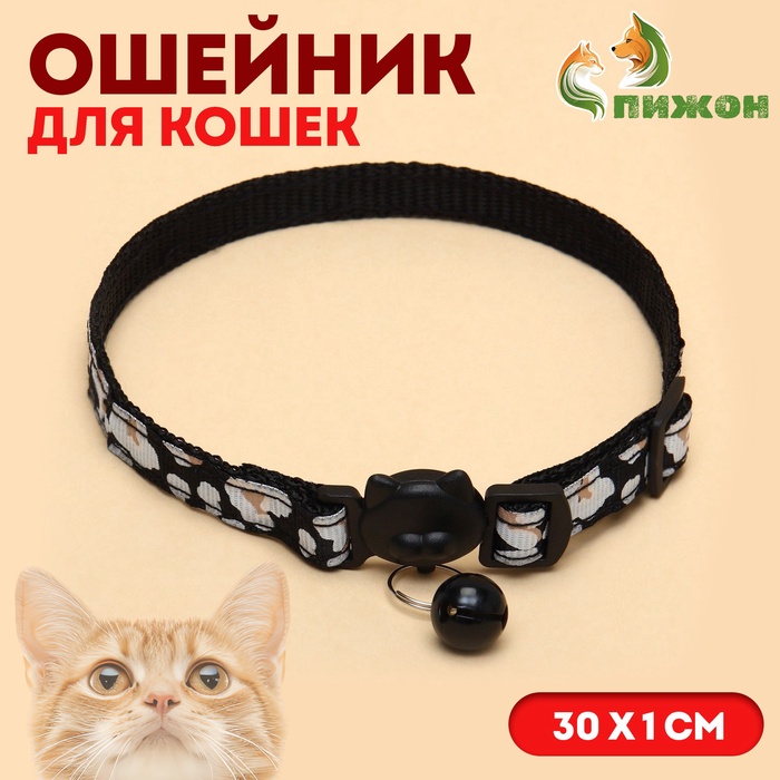 Ошейник кошачий