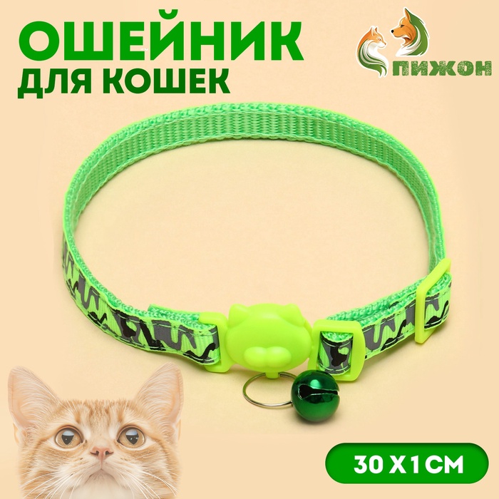Ошейник кошачий Пижон