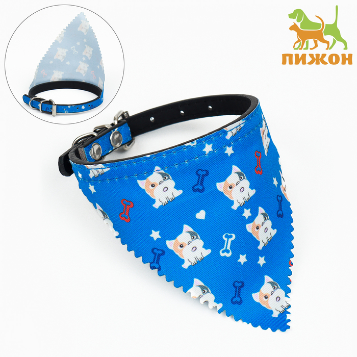 Ошейник с косынкой