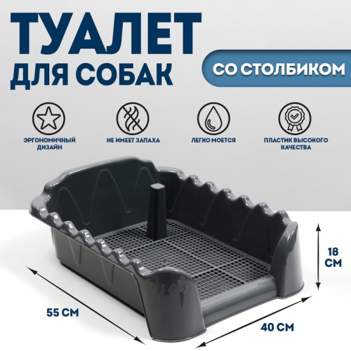 Туалет 