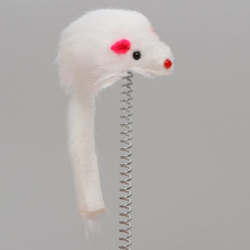 Игрушка для кошек 