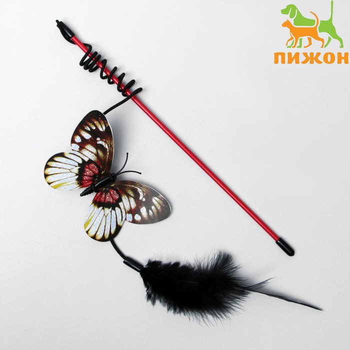 Дразнилка