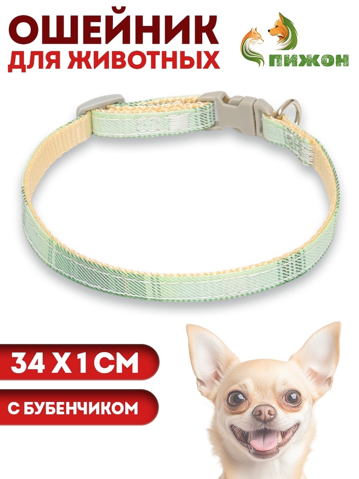 Ошейник