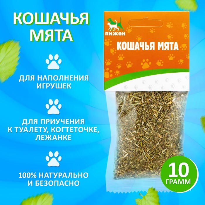 Кошачья мята