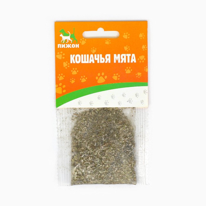 Кошачья мята