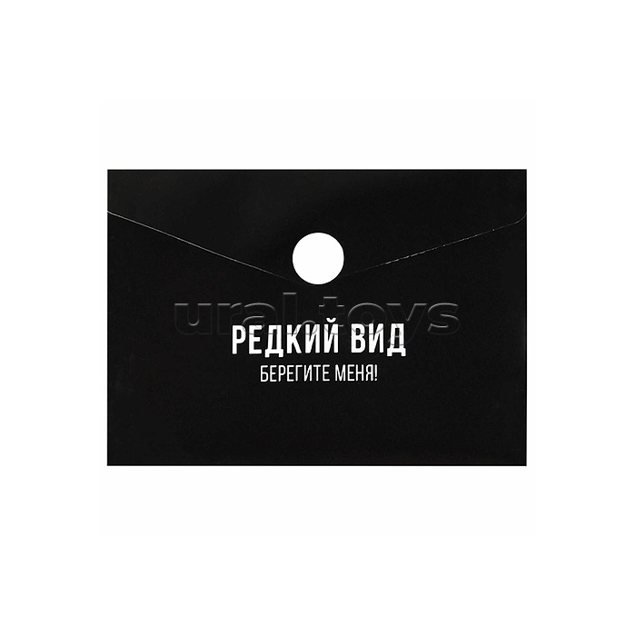 Папка для карт и визиток пластиковая