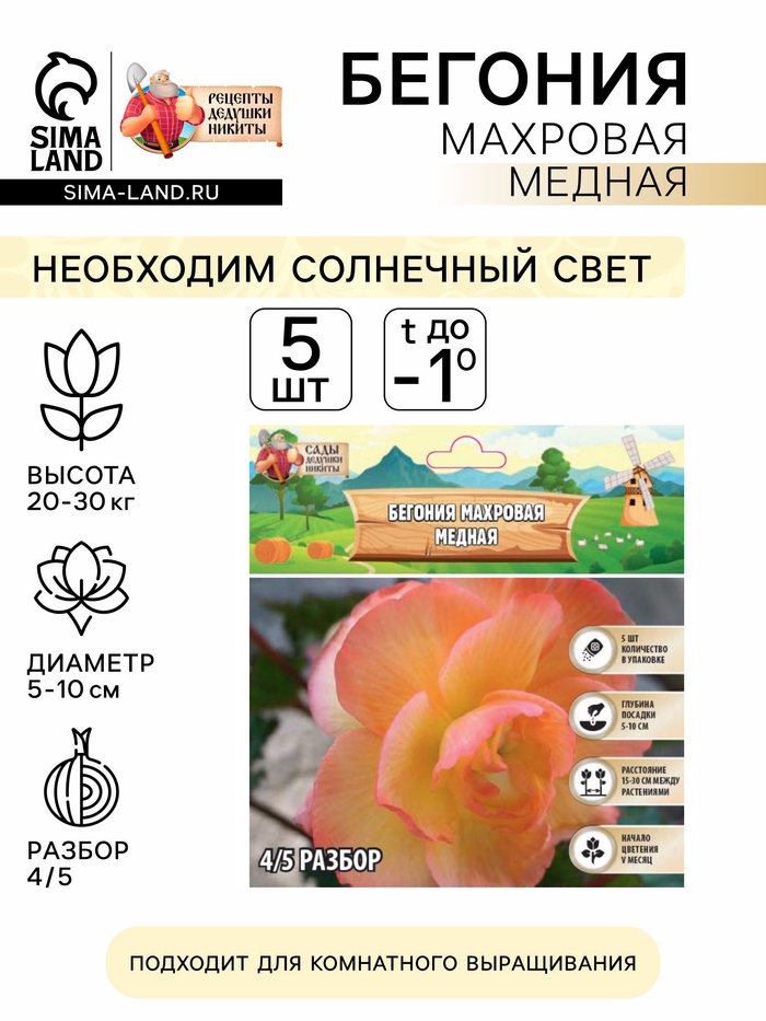 Бегония махровая «Медная» луковица, р-р 4/5, 5 шт.