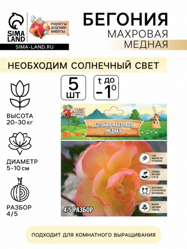 Бегония махровая «Медная» луковица, р-р 4/5, 5 шт.