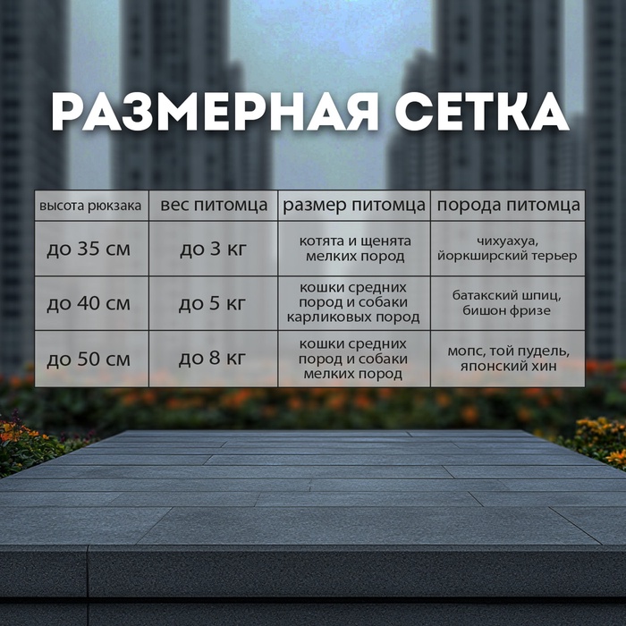 Рюкзак-переноска для кошек и собак, сетка с кошкой, оксфорд+ПВХ37 х 37 х 25 см, серый/жёлтый 105741